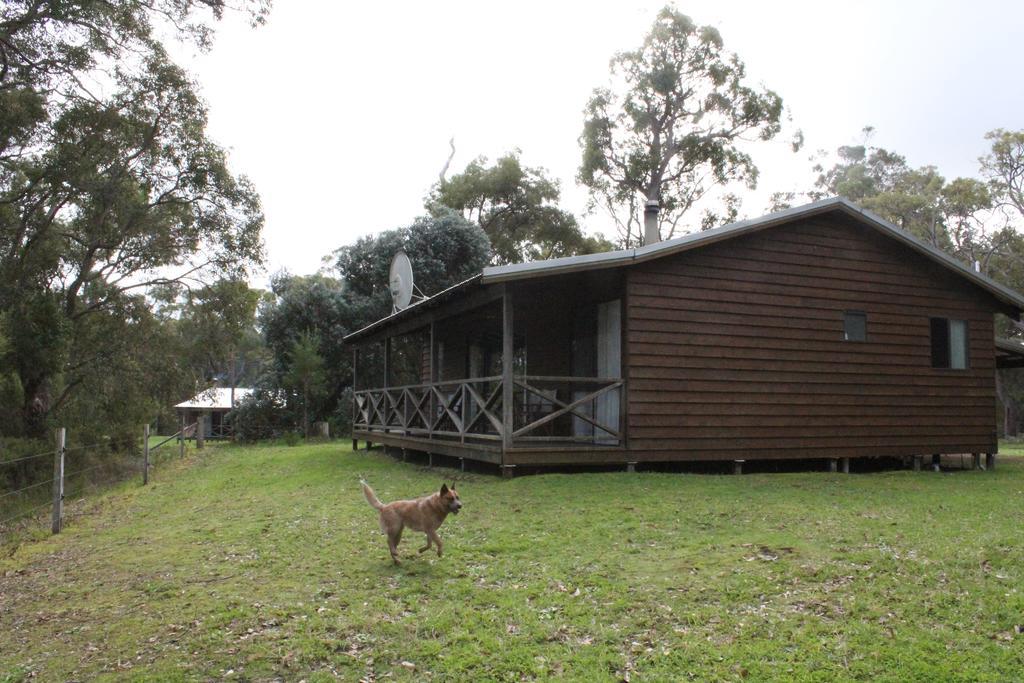 Che Sara Sara Chalets Walpole Phòng bức ảnh