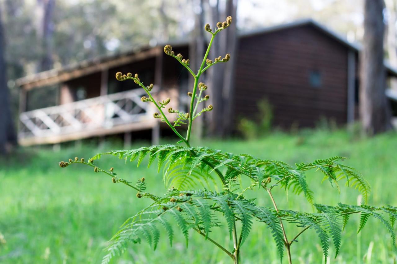 Che Sara Sara Chalets Walpole Ngoại thất bức ảnh